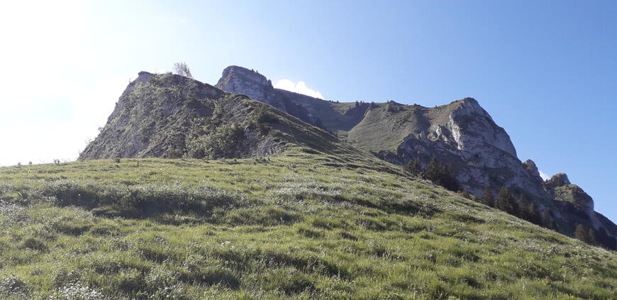 Mont Billiat Mont Billiat